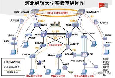 从协议解析到网络演进的脚本越权攻击全维度防御体系研究